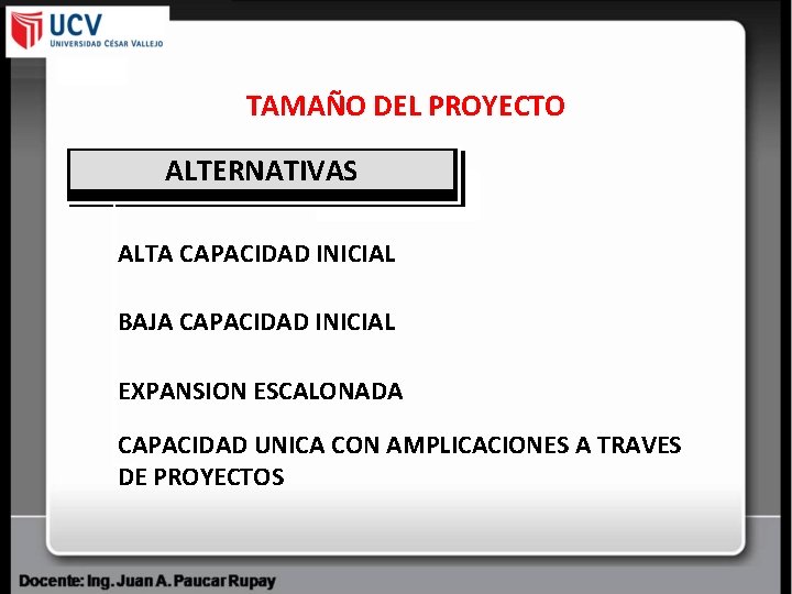 TAMAÑO DEL PROYECTO ALTERNATIVAS ALTA CAPACIDAD INICIAL BAJA CAPACIDAD INICIAL EXPANSION ESCALONADA CAPACIDAD UNICA