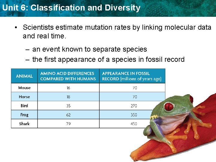 Unit 6: Classification and Diversity • Scientists estimate mutation rates by linking molecular data