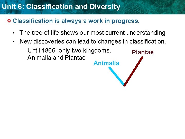 Unit 6: Classification and Diversity Classification is always a work in progress. • The