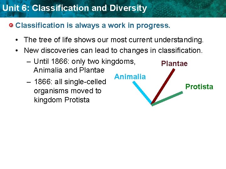 Unit 6: Classification and Diversity Classification is always a work in progress. • The