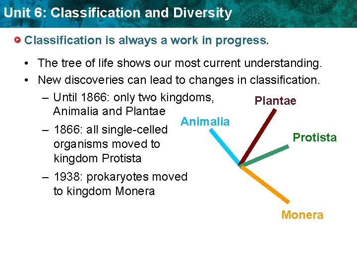 Unit 6: Classification and Diversity Classification is always a work in progress. • The