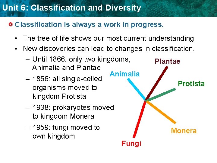 Unit 6: Classification and Diversity Classification is always a work in progress. • The