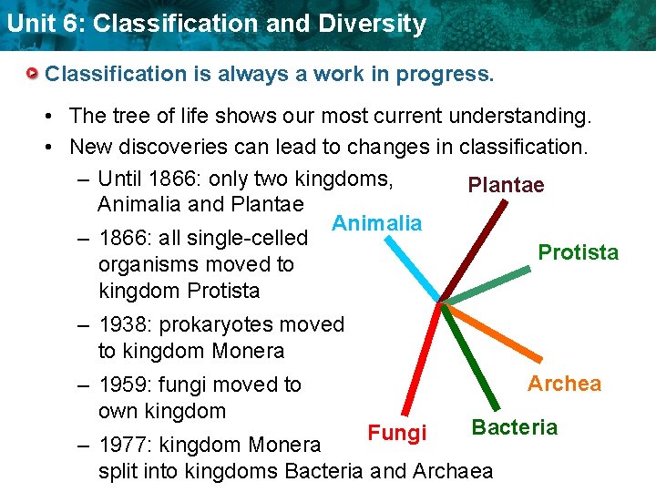 Unit 6: Classification and Diversity Classification is always a work in progress. • The