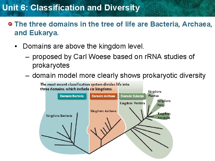Unit 6: Classification and Diversity The three domains in the tree of life are