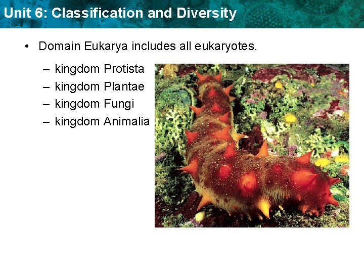 Unit 6: Classification and Diversity • Domain Eukarya includes all eukaryotes. – – kingdom
