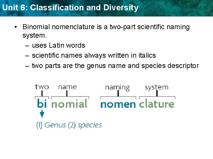 Unit 6: Classification and Diversity • Binomial nomenclature is a two-part scientific naming system.