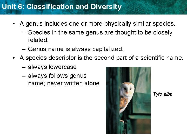 Unit 6: Classification and Diversity • A genus includes one or more physically similar