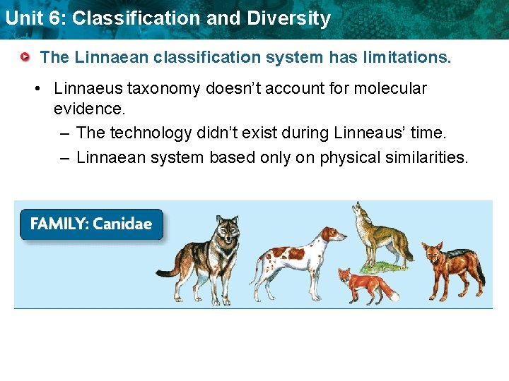 Unit 6: Classification and Diversity The Linnaean classification system has limitations. • Linnaeus taxonomy