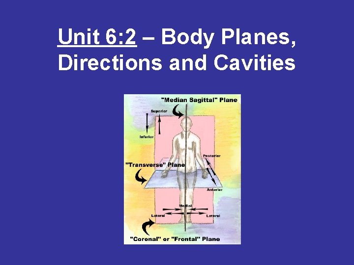 Unit 6: 2 – Body Planes, Directions and Cavities 