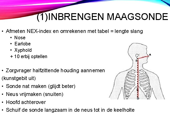 (1)INBRENGEN MAAGSONDE • Afmeten NEX-index en omrekenen met tabel = lengte slang • Nose