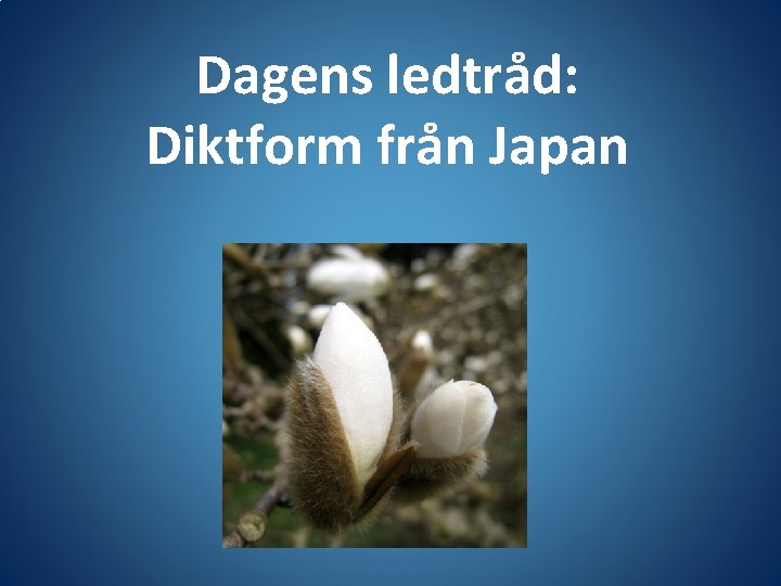 Dagens ledtråd: Diktform från Japan 