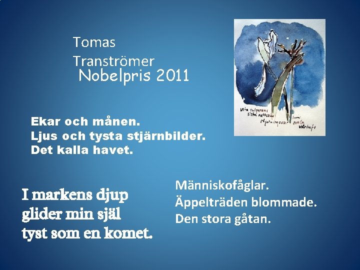 Tomas Tranströmer Nobelpris 2011 Ekar och månen. Ljus och tysta stjärnbilder. Det kalla havet.