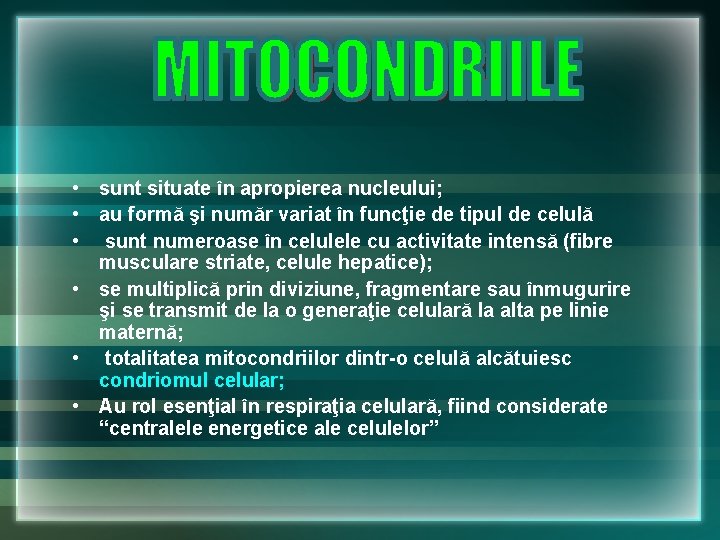• sunt situate în apropierea nucleului; • au formă şi număr variat în • sunt situate în apropierea nucleului; • au formă şi număr variat în