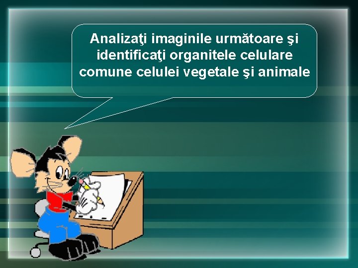 Analizaţi imaginile următoare şi identificaţi organitele celulare comune celulei vegetale şi animale Analizaţi imaginile următoare şi identificaţi organitele celulare comune celulei vegetale şi animale