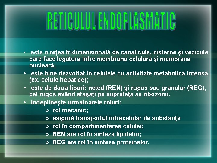 • este o reţea tridimensională de canalicule, cisterne şi vezicule care face legătura • este o reţea tridimensională de canalicule, cisterne şi vezicule care face legătura