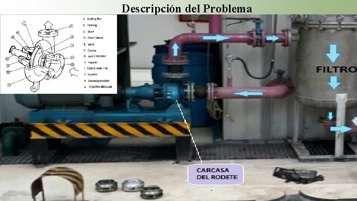 Descripción del Problema 