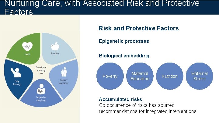 Nurturing Care, with Associated Risk and Protective Factors Epigenetic processes Biological embedding Poverty Maternal