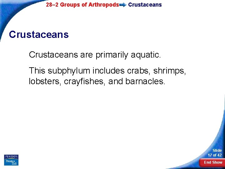 28– 2 Groups of Arthropods Crustaceans are primarily aquatic. This subphylum includes crabs, shrimps,