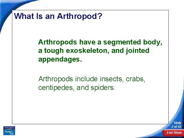 What Is an Arthropod? Arthropods have a segmented body, a tough exoskeleton, and jointed