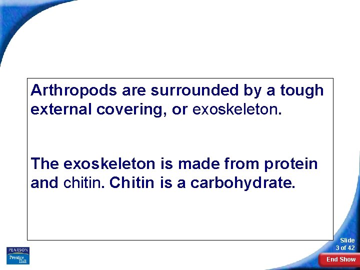 What Is an Arthropod? Arthropods are surrounded by a tough external covering, or exoskeleton.