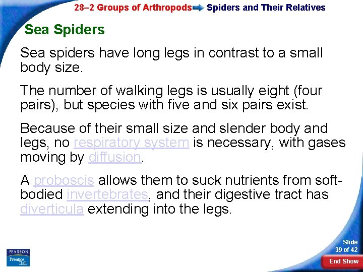 28– 2 Groups of Arthropods Spiders and Their Relatives Sea Spiders Sea spiders have