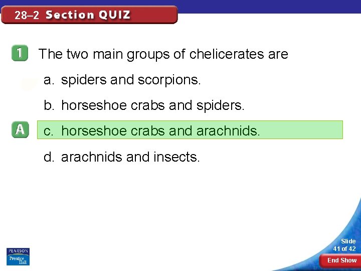 28– 2 The two main groups of chelicerates are a. spiders and scorpions. b.