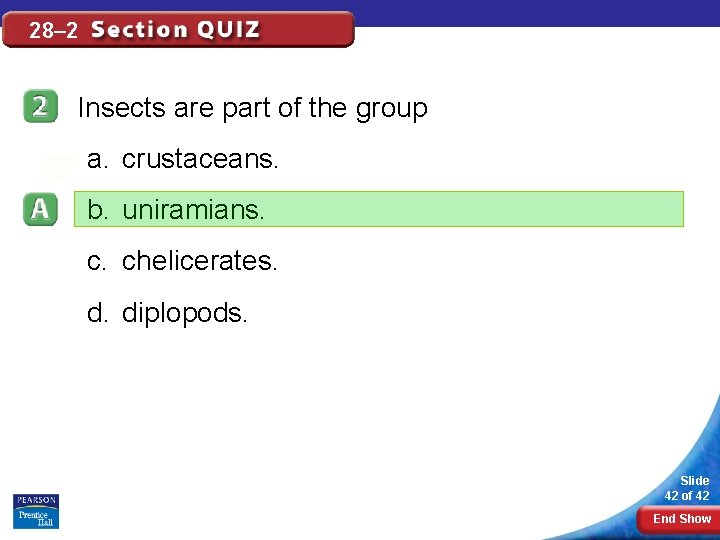 28– 2 Insects are part of the group a. crustaceans. b. uniramians. c. chelicerates.