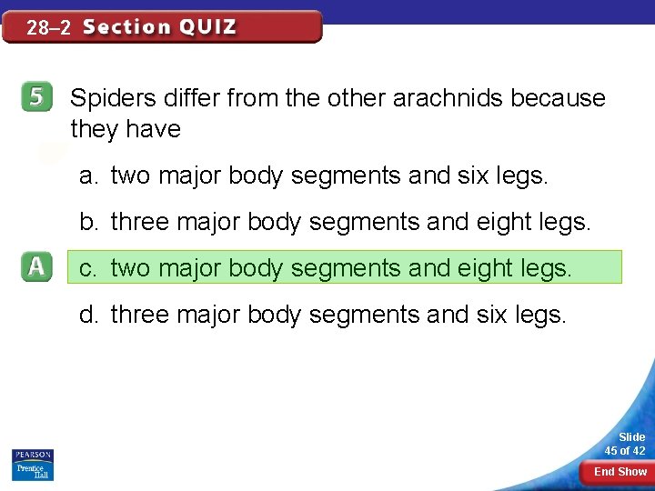 28– 2 Spiders differ from the other arachnids because they have a. two major