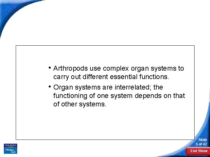 Form and Function in Arthropods • Arthropods use complex organ systems to carry out