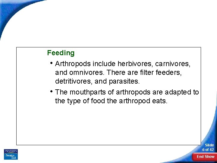 Form and Function in Arthropods Feeding • Arthropods include herbivores, carnivores, and omnivores. There