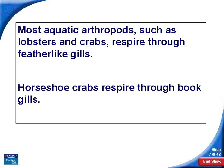 Form and Function in Arthropods Most aquatic arthropods, such as lobsters and crabs, respire