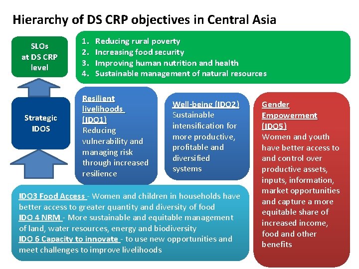 Hierarchy of DS CRP objectives in Central Asia SLOs at DS CRP level Strategic