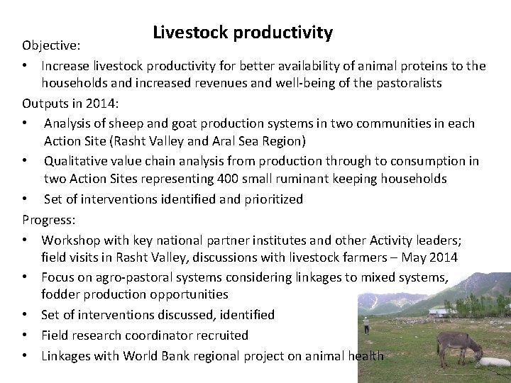 Livestock productivity Objective: • Increase livestock productivity for better availability of animal proteins to