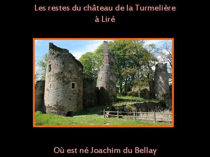 Les restes du château de la Turmelière à Liré Où est né Joachim du