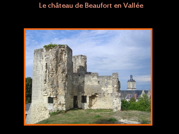 Le château de Beaufort en Vallée 