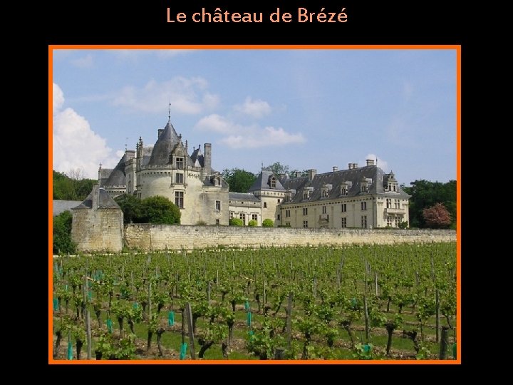 Le château de Brézé 