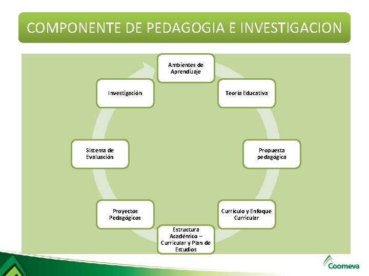COMPONENTE DE PEDAGOGIA E INVESTIGACION Ambientes de Aprendizaje Investigación Teoría Educativa Sistema de Evaluación COMPONENTE DE PEDAGOGIA E INVESTIGACION Ambientes de Aprendizaje Investigación Teoría Educativa Sistema de Evaluación