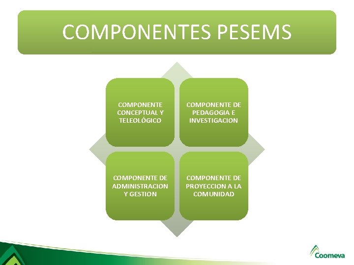 COMPONENTES PESEMS COMPONENTE CONCEPTUAL Y TELEOLÓGICO COMPONENTE DE PEDAGOGIA E INVESTIGACION COMPONENTE DE ADMINISTRACION COMPONENTES PESEMS COMPONENTE CONCEPTUAL Y TELEOLÓGICO COMPONENTE DE PEDAGOGIA E INVESTIGACION COMPONENTE DE ADMINISTRACION