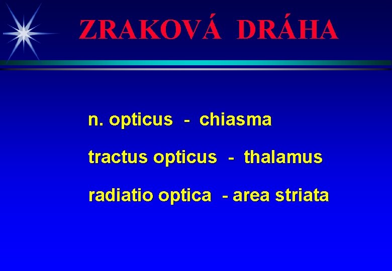 ZRAKOVÁ DRÁHA n. opticus - chiasma tractus opticus - thalamus radiatio optica - area