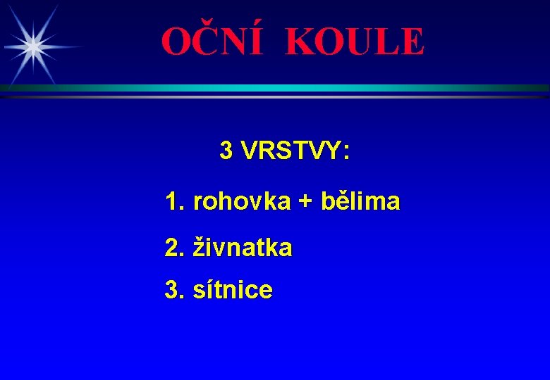 OČNÍ KOULE 3 VRSTVY: 1. rohovka + bělima 2. živnatka 3. sítnice 