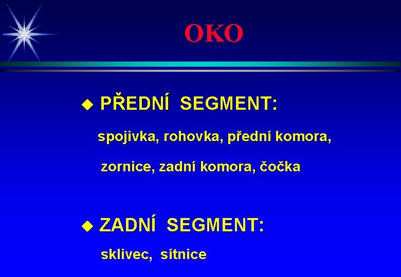 OKO u PŘEDNÍ SEGMENT: spojivka, rohovka, přední komora, zornice, zadní komora, čočka u ZADNÍ