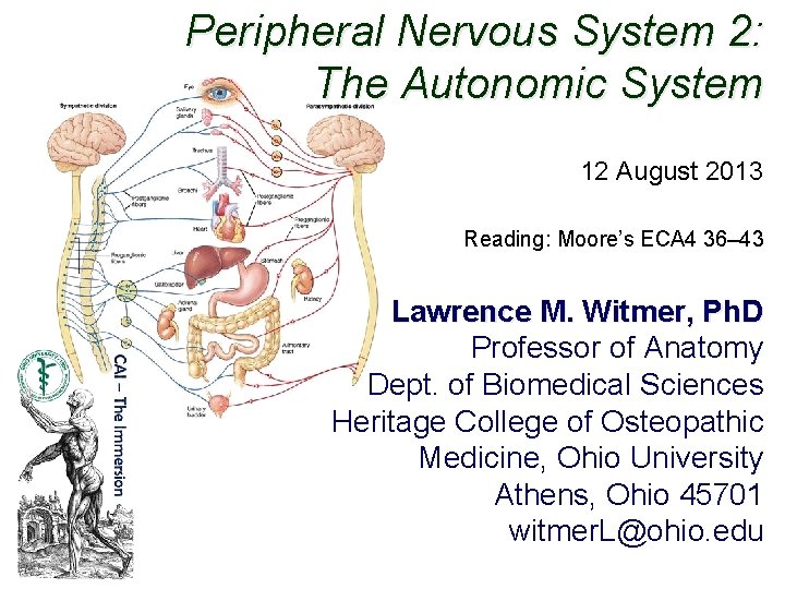 Peripheral Nervous System 2: The Autonomic System 12 August 2013 Reading: Moore’s ECA 4