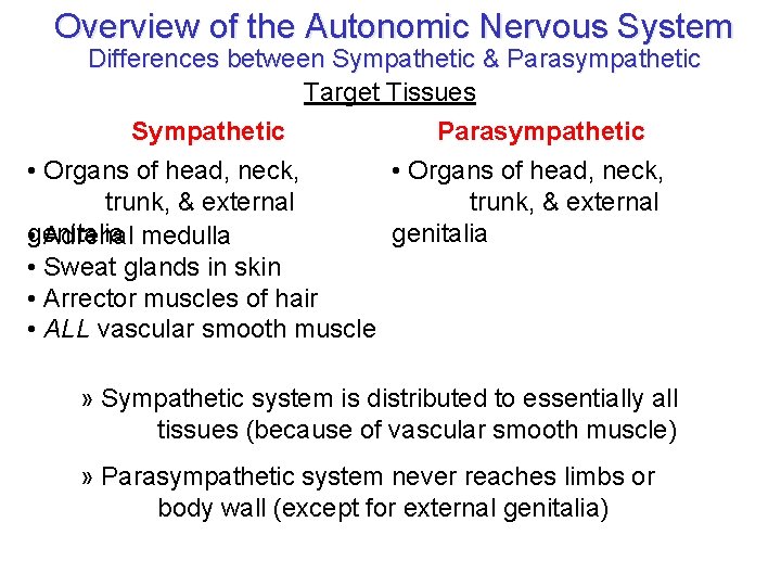 Overview of the Autonomic Nervous System Differences between Sympathetic & Parasympathetic Target Tissues Sympathetic