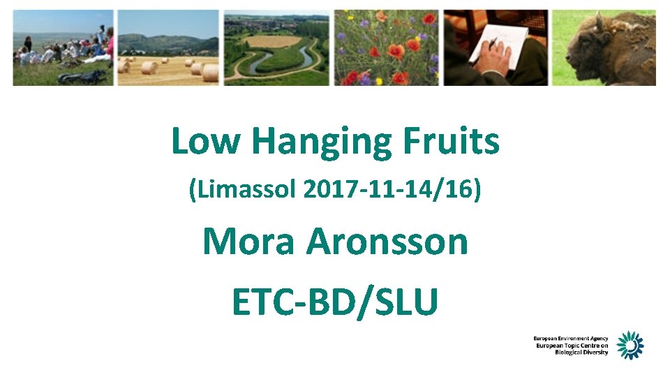 Mora Aronsson – ETC-BD/SLU 2016 -10 -5/7 Vilnius Low Hanging Fruits (Limassol 2017 -11