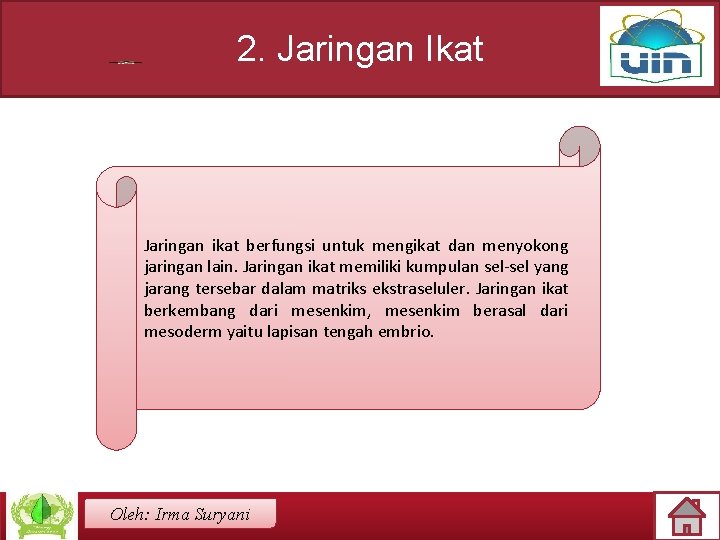 2. Jaringan Ikat Jaringan ikat berfungsi untuk mengikat dan menyokong jaringan lain. Jaringan ikat