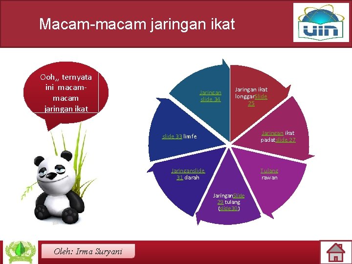 Macam-macam jaringan ikat Ooh, , ternyata ini macam jaringan ikat Jaringan slide 34 Jaringan