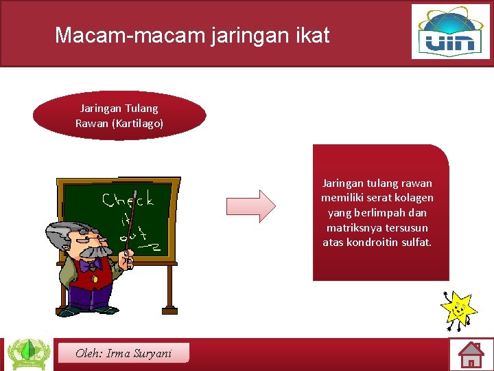 Macam-macam jaringan ikat Jaringan Tulang Rawan (Kartilago) Jaringan tulang rawan memiliki serat kolagen yang