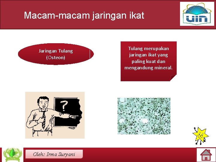 Macam-macam jaringan ikat Jaringan Tulang (Osteon) Oleh: Irma Suryani Tulang merupakan jaringan ikat yang