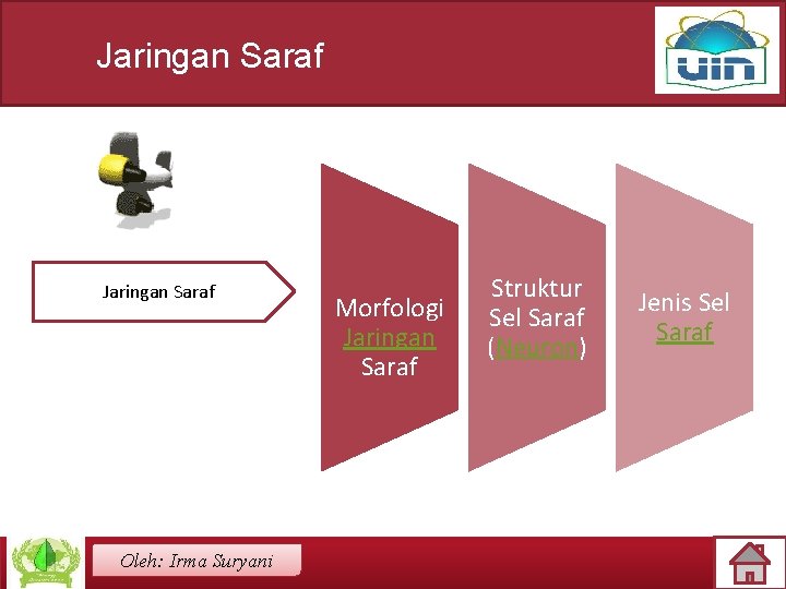 Jaringan Saraf Oleh: Irma Suryani Morfologi Jaringan Saraf Struktur Sel Saraf (Neuron) Jenis Sel