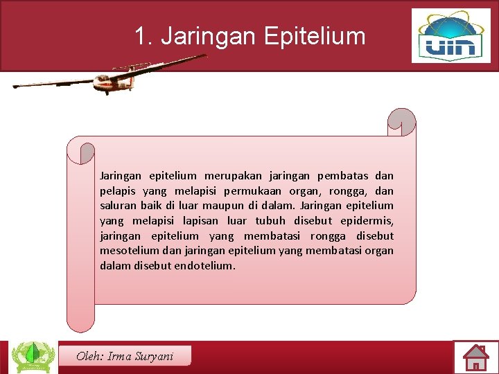 1. Jaringan Epitelium Jaringan epitelium merupakan jaringan pembatas dan pelapis yang melapisi permukaan organ,